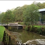 View from the playground