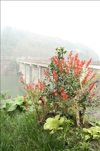 IMG_1411resized.JPG