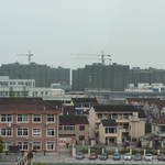 P1100806.JPG