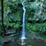 P1010217.JPG