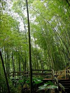 DSCN0331.jpg