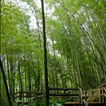 DSCN0331.jpg