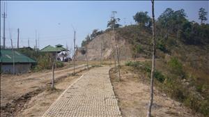 P1020443.JPG