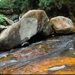DSC_7185.jpg