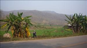 P1020434.JPG