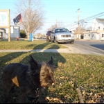 Woodbine NJ
