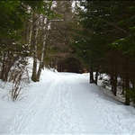 Vitosha