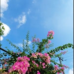 DSC_9095.jpg