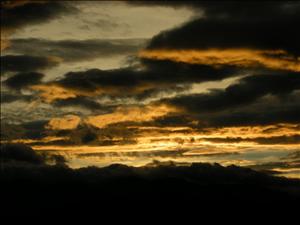 DSCN0599.jpg