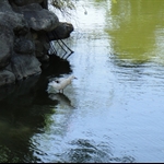 DSC01660.JPG
