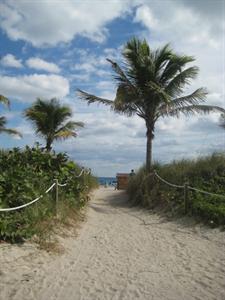 Miami Beach