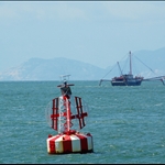 DSC_2981.jpg