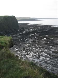 IMG_0048.jpg
