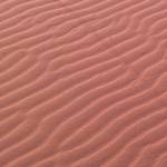 Tracks in the sand.JPG