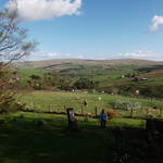 Dales Farm, Upper Weardale 2013
