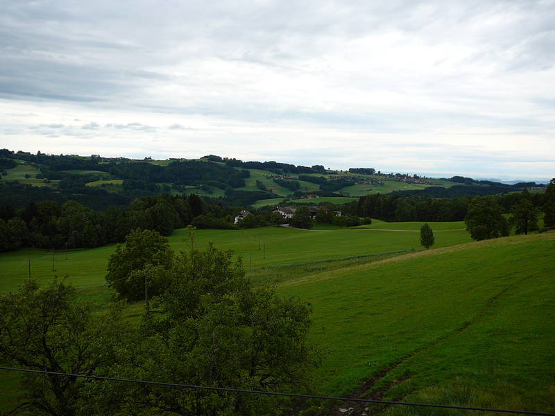 P1010360.JPG