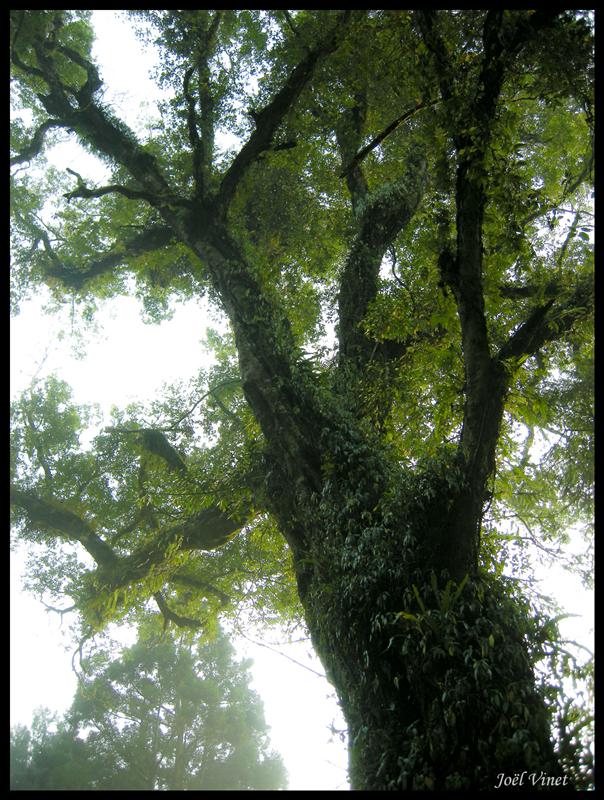 DSCN0490.jpg