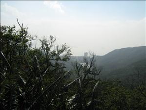 The Peak