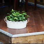 DSC00115.JPG
