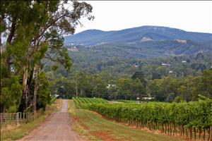 Yarra Valley