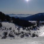 SAM_0485.JPG