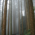 DSCN0354.jpg