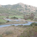 DSC_0345.JPG