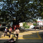 上水圍 Sheung Shui Wai
