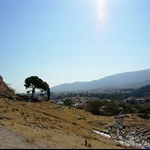 DSC00117.JPG