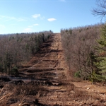 Up the pipeline