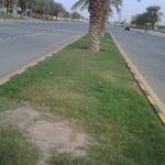 IMG00169-20110417-1704.jpg