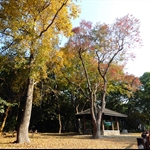 DSC_3998.jpg