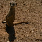 Biopark
