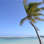 PLAGE DE LA CARAVELLE.JPG