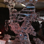 IMG_8658.JPG
