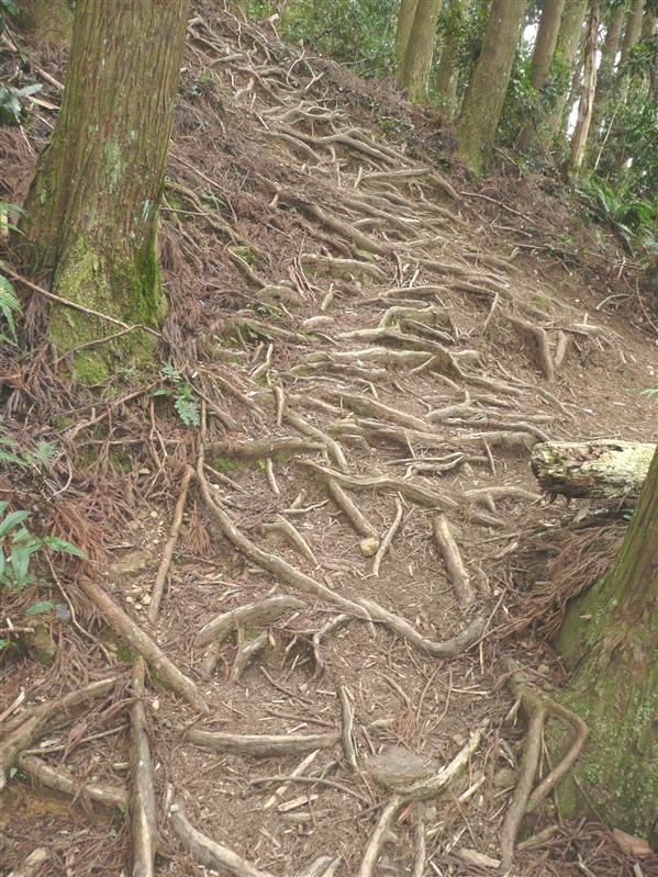 加里山 (41).JPG