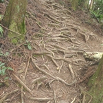 加里山 (41).JPG