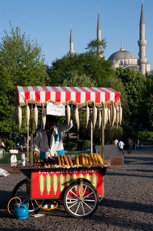 Grilled corn stand