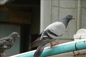 DSC_5302.jpg