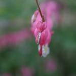 IMG_9343.JPG