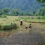 Vang Vieng region, North Laos
