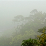 雲霧迷蒙