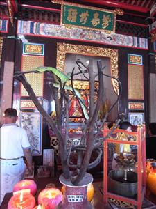 nEO_IMG_R0010125.jpg