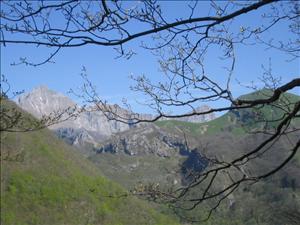 alpi apuane 149.jpg