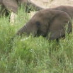 2008_0324SouthAfrica0010.JPG