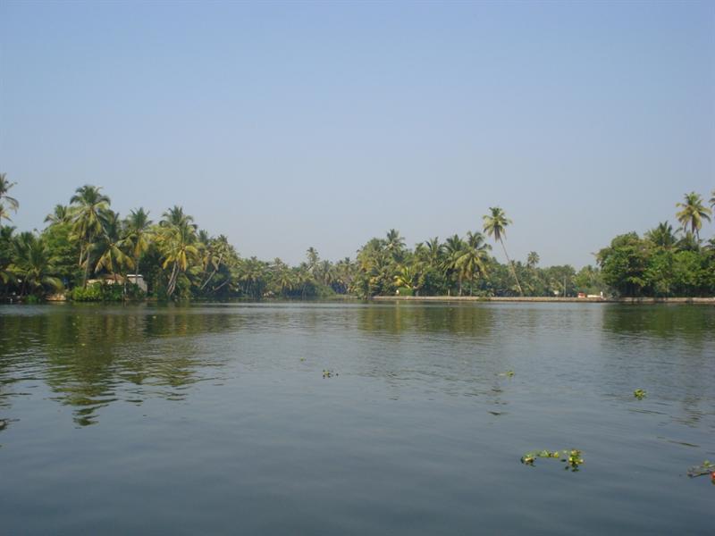 Alleppey Back Waters
