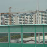 P1100786.JPG