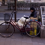 20091225-IMG_8849.jpg