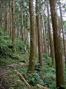 DSCN0708.jpg