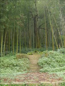 DSCN0318.jpg